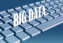 File Sharing and Management Tools for Teams