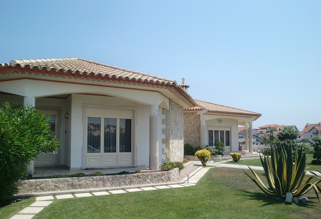 Rüyada arı sokması Rüyada arı sokması